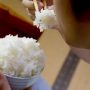 日本人の主食と言えばお米！美味しいお米を食べるためにお米をちょっと学んでみてはいかが？！